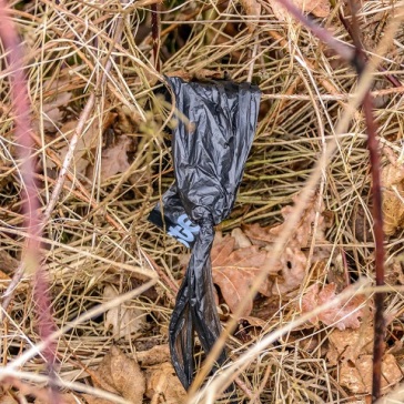 Black poo bag in the undergrowth