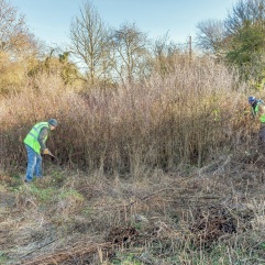 . . clearing the area between the car park and the stream. .